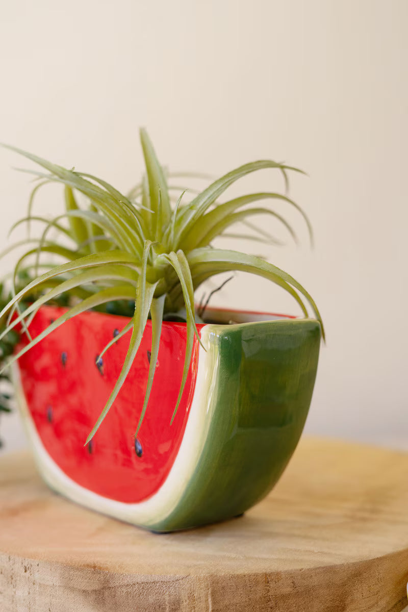 Ceramic Watermelon Wedge Planter