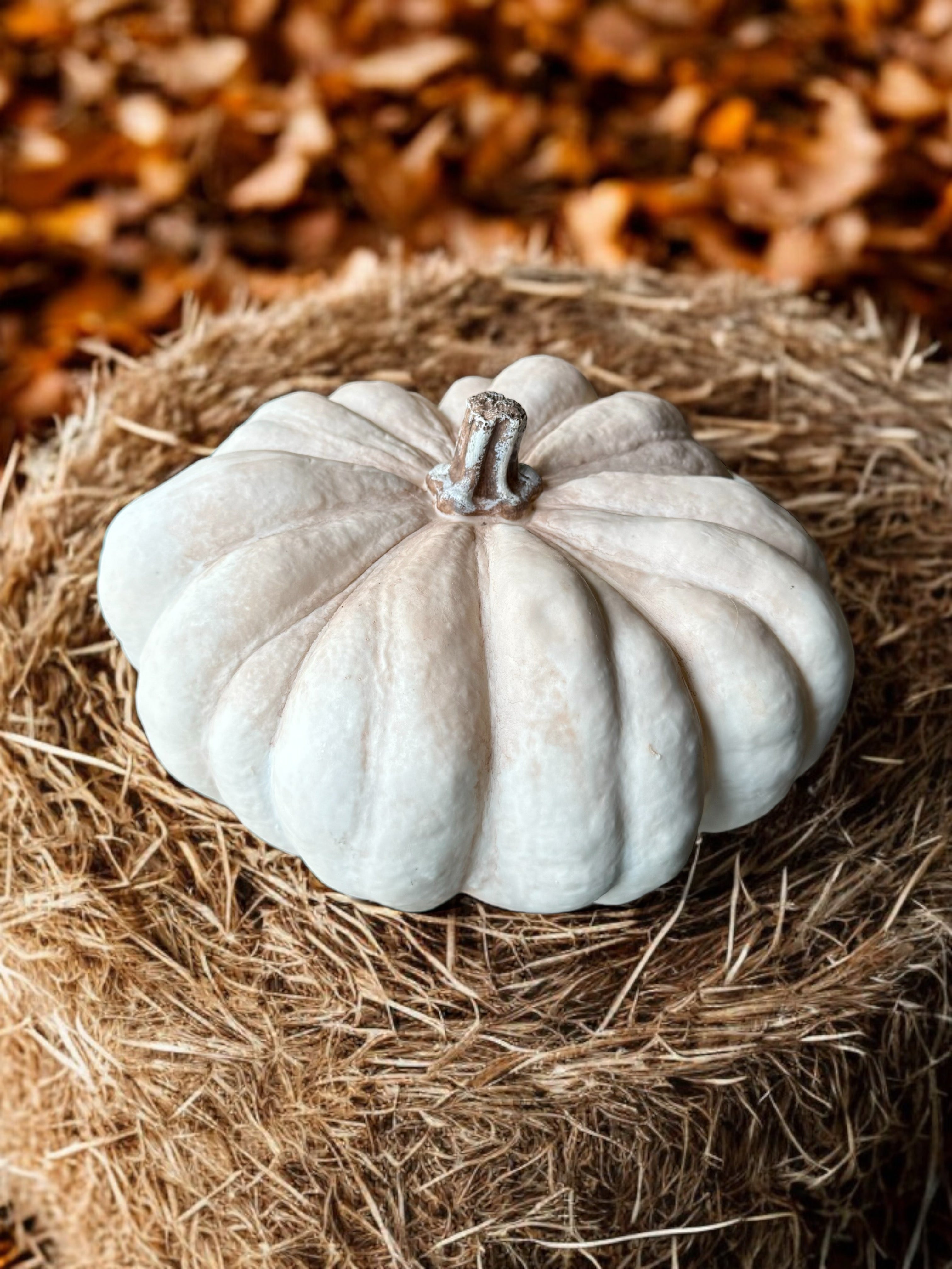 Bumpy Textured Resin Pumpkins